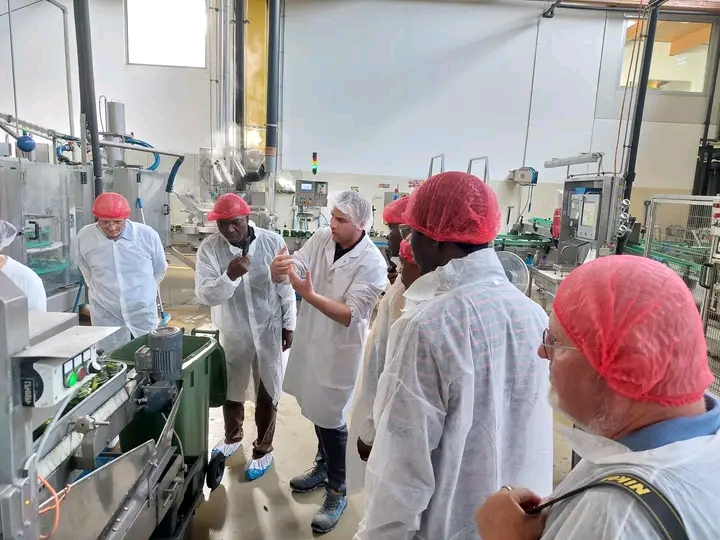 AGRO PROCESSING 